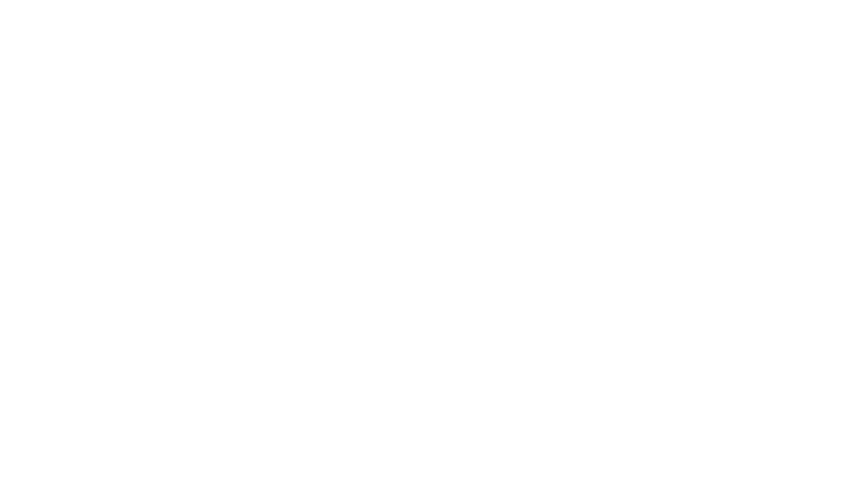 TL OPTIK